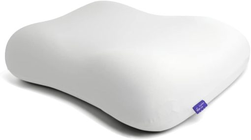 31hYkSDauAL. AC SL1000 .jpg