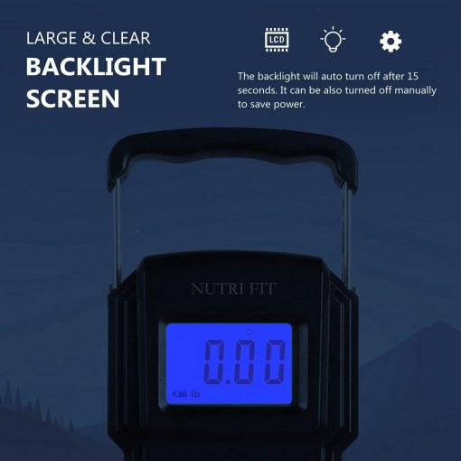 51IDTzt8n4L. SL1350 .jpg