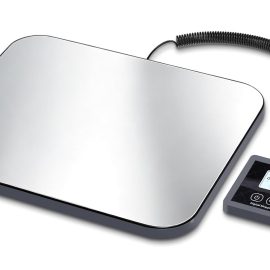 61AaZYc1VXL. SL1500 .jpg