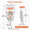 61Fff5AlXIL. SL1500 .jpg