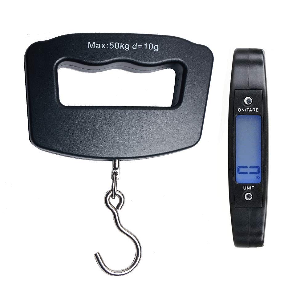 61G2hn9p9dL. SL1000 .jpg