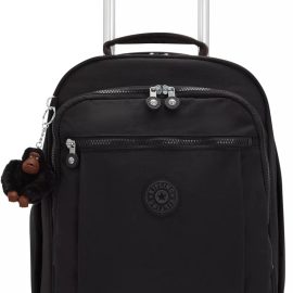 61LtNuTD7ML. AC SL1500 .jpg