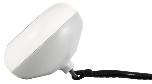 61mPWhfmnyL. SL1500 .jpg