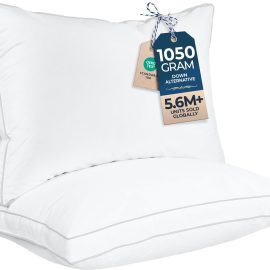 61olyTdK ZL. AC SL1500 .jpg
