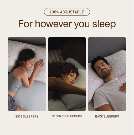 61uTOD3t0L. AC SL1001 .jpg