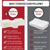 817zRGPYIUL. AC SL1500 .jpg
