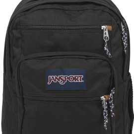 81HMu25ZU0L. AC SL1500 .jpg