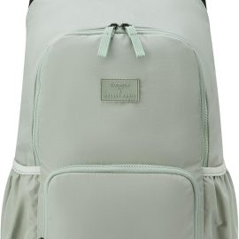 71hW4e3xyyL. AC SL1500 .jpg